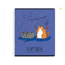 Тетрадь 48л темат.ХИМИЯ ЛЮБОЗНАТЕЛЬНЫЕ КОТЫ вн.-блок