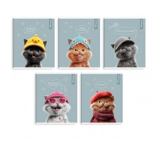 Тетрадь 48 # КОТЫ В ШКОЛЕ Феникс