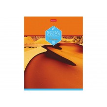 Тетрадь 60л # клетка Цвет 60-65г на скобе Hatber